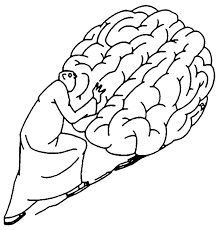 Nezařazené