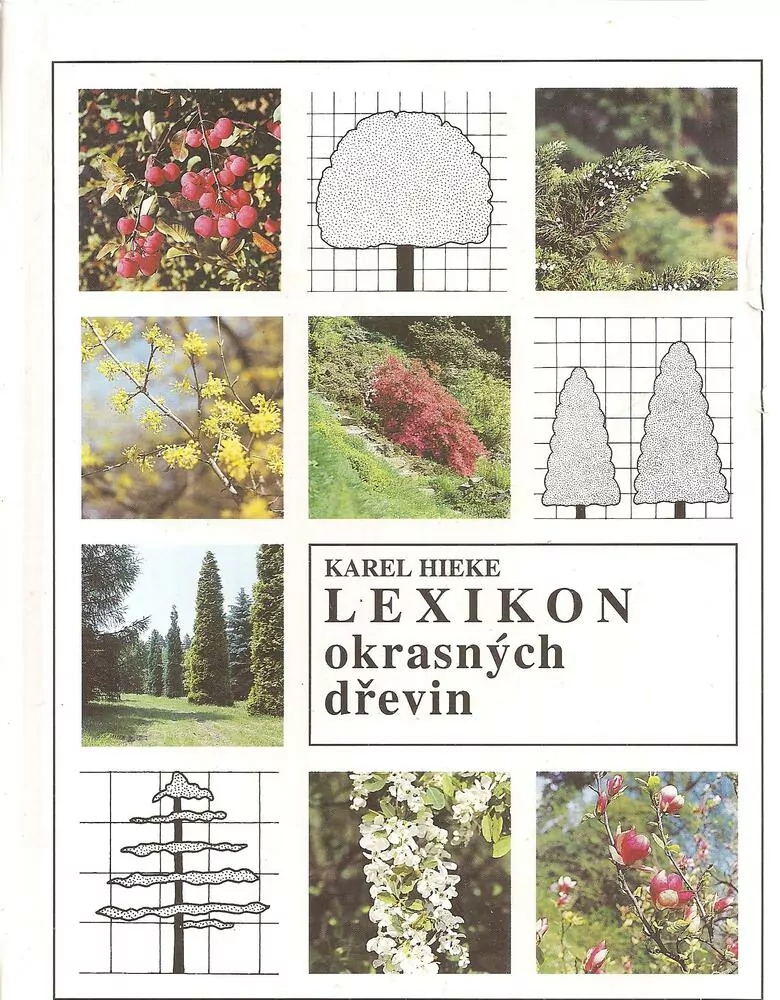 Lexikon okrasných dřevin