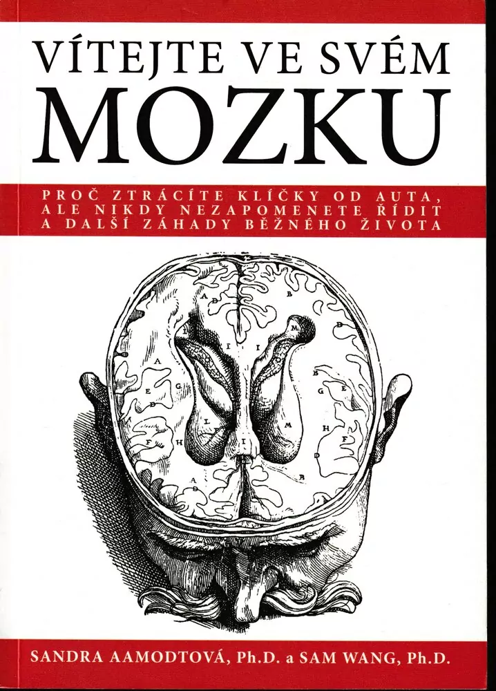 Vítejte ve svém mozku