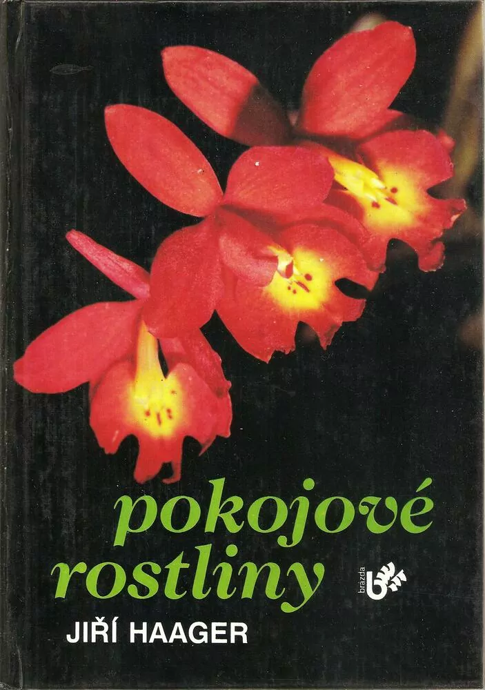 Pokojové rostliny