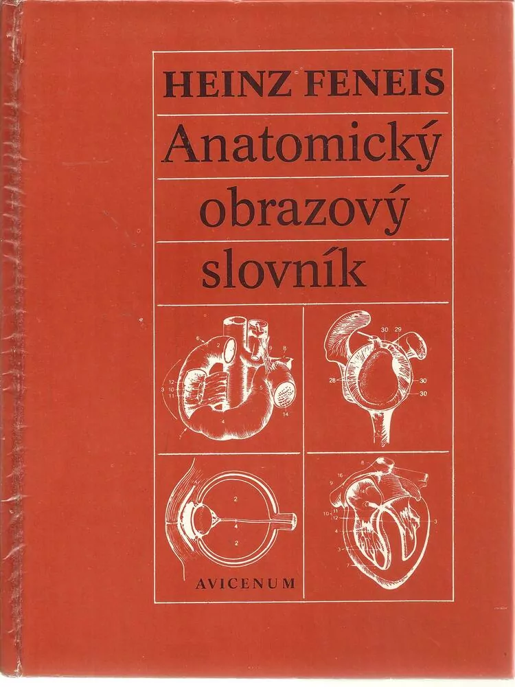 Anatomický obrazový slovnik