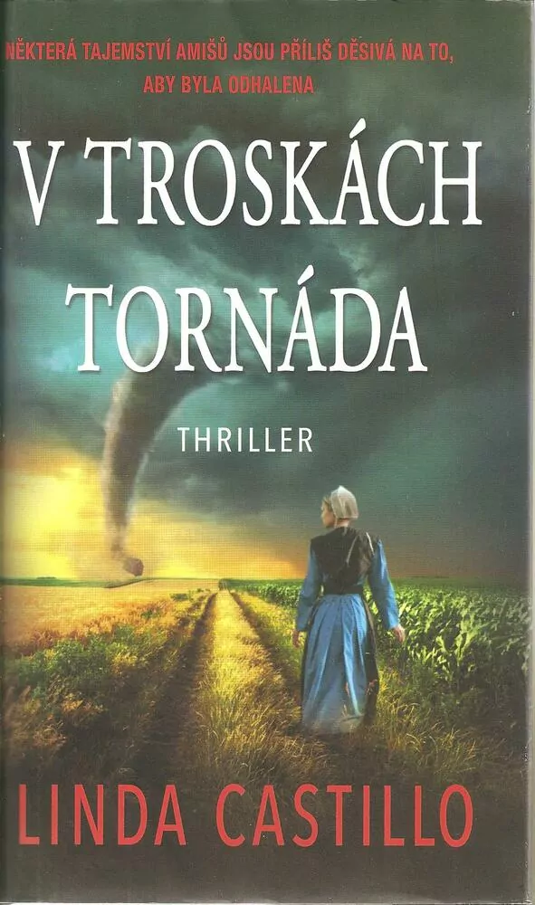 V troskách tornáda
