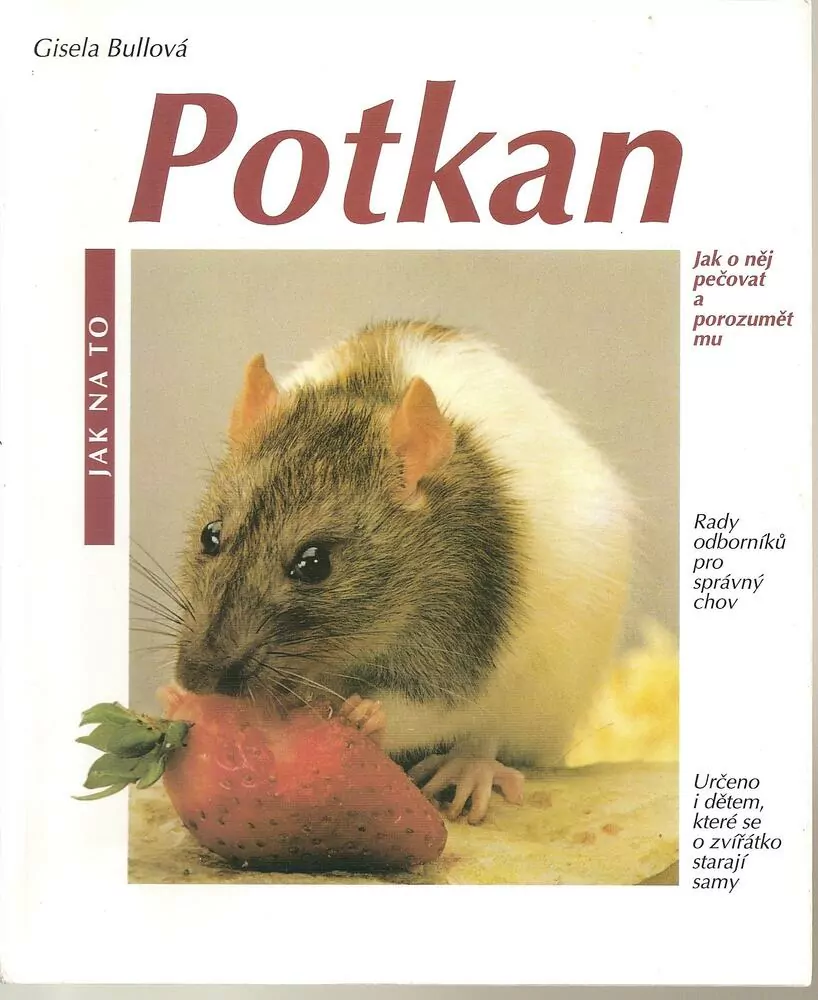 Potkan
