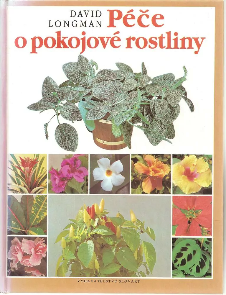 Péče o pokojové rostliny