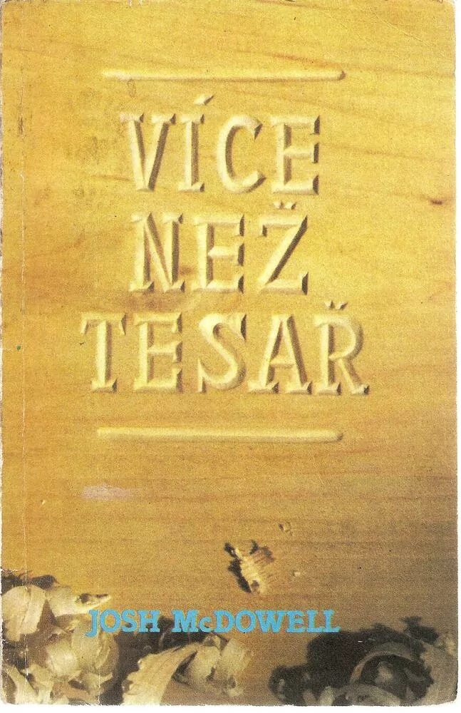 Více než tesař