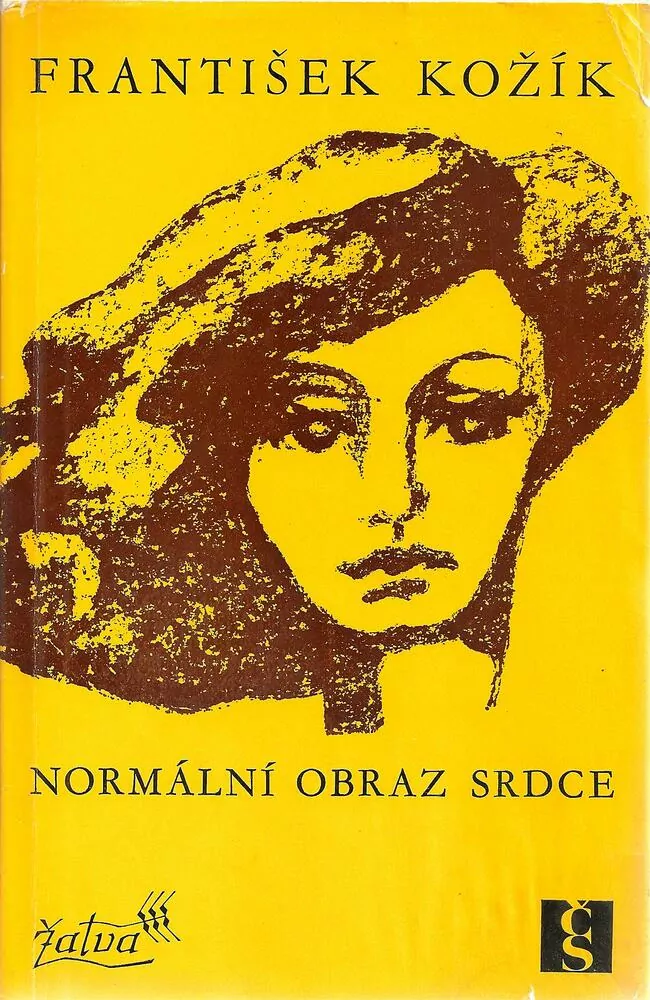 Normální obraz srdce