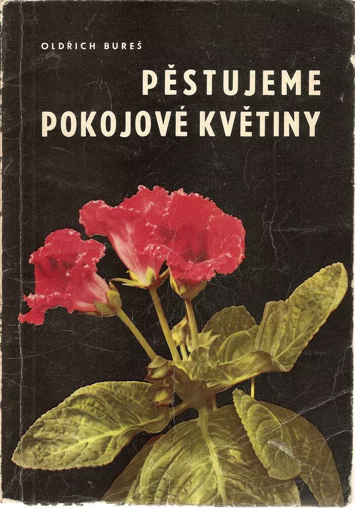 Pěstujeme pokojové rostliny