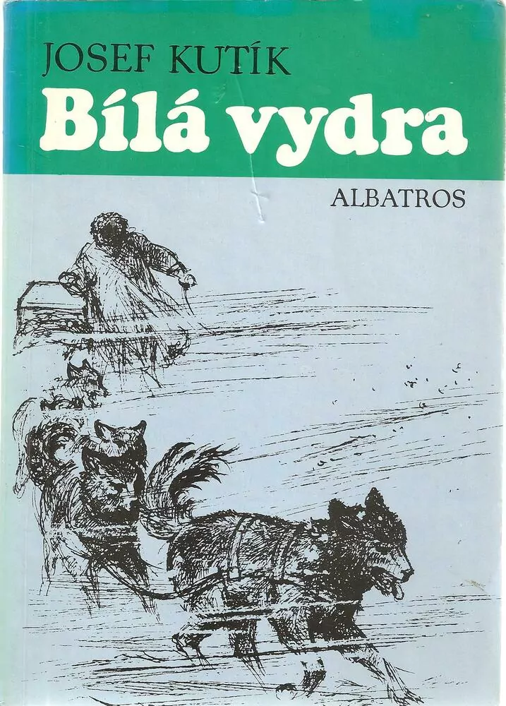Bílá vydra