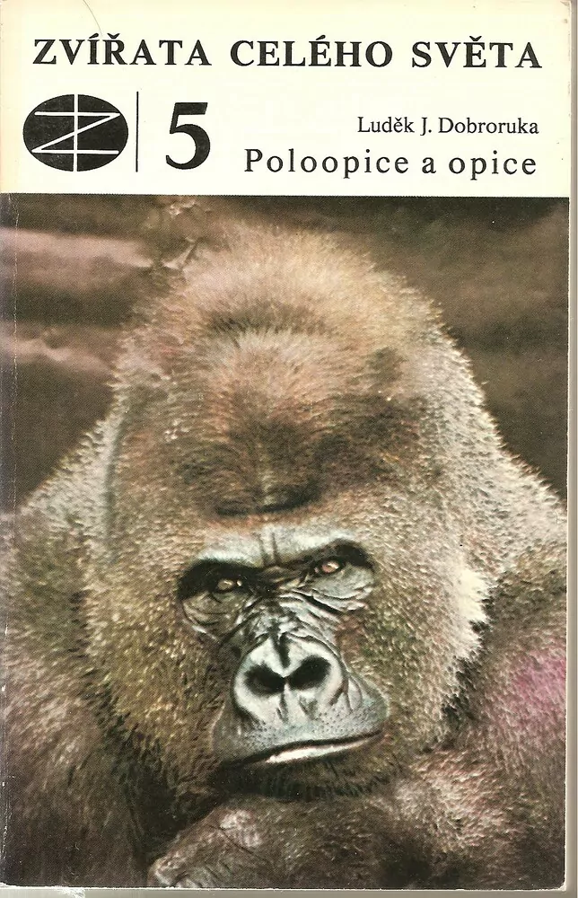 Poloopice a opice