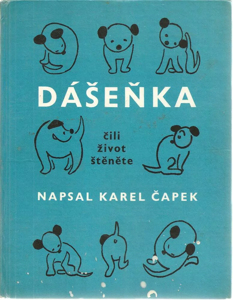 Dášeňka