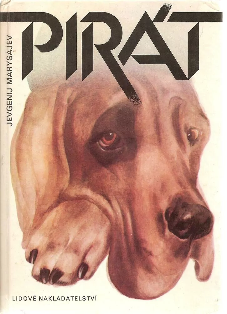 Pirát