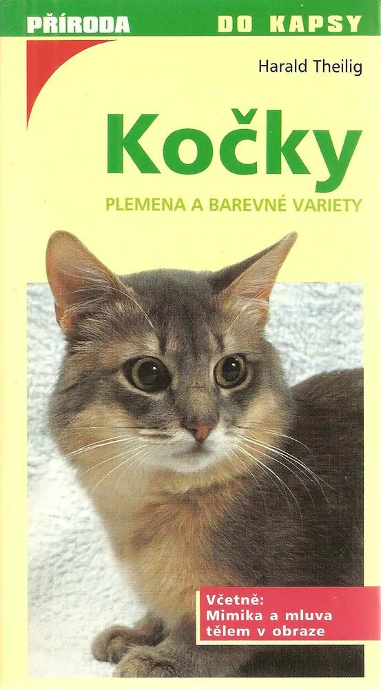Kočky