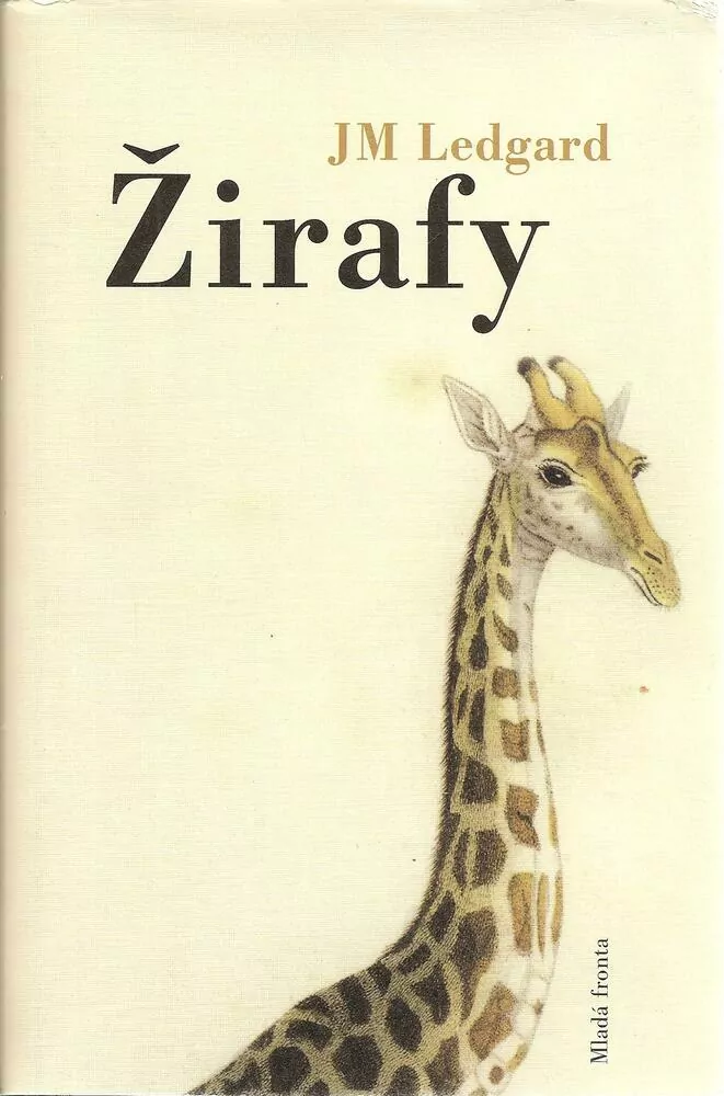 Žirafy