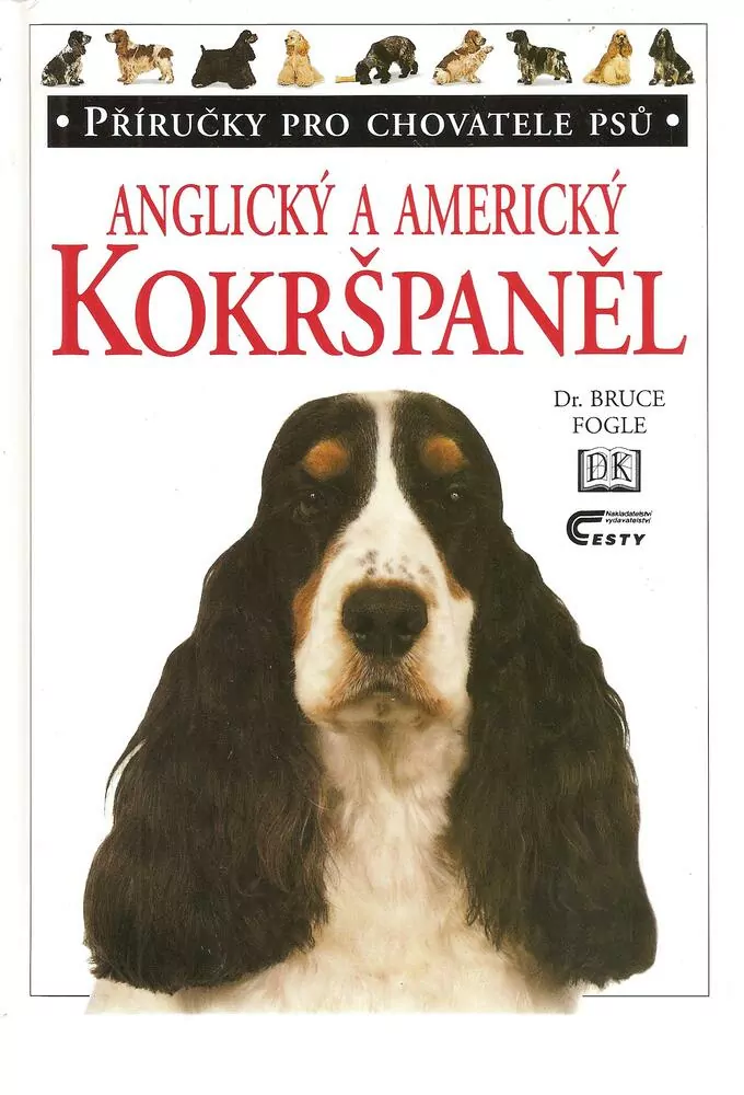 Anglický a americký kokršpaněl