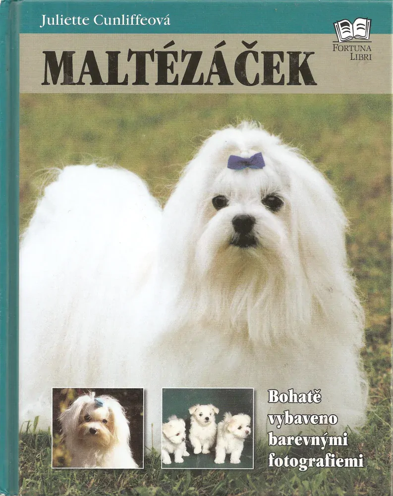 Maltézáček