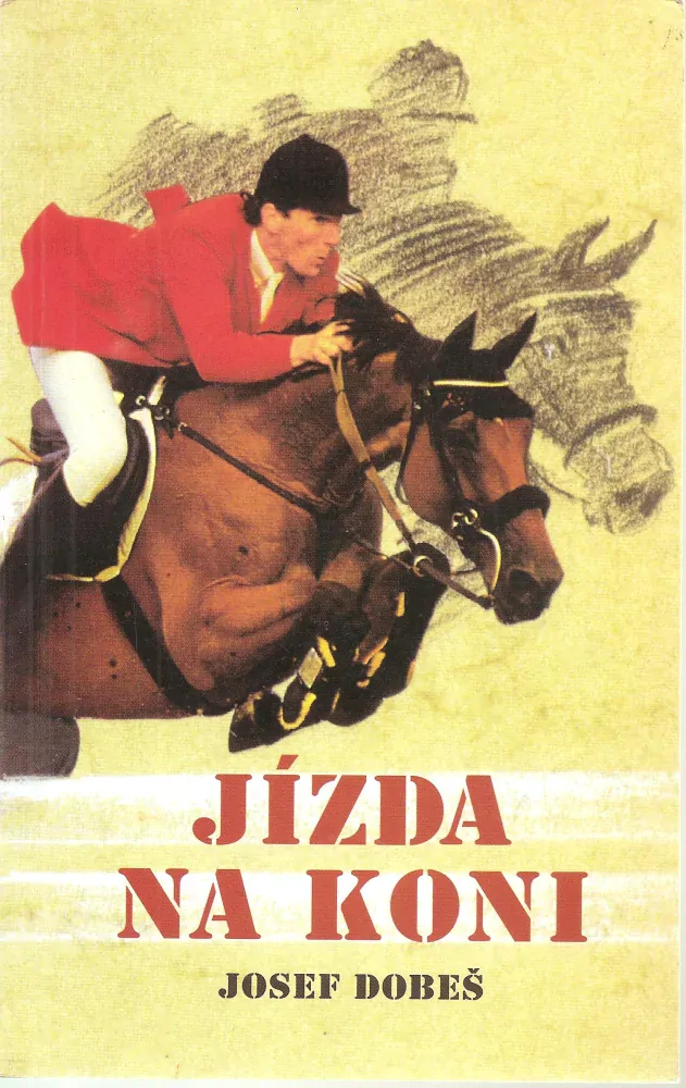 Jízda na koni