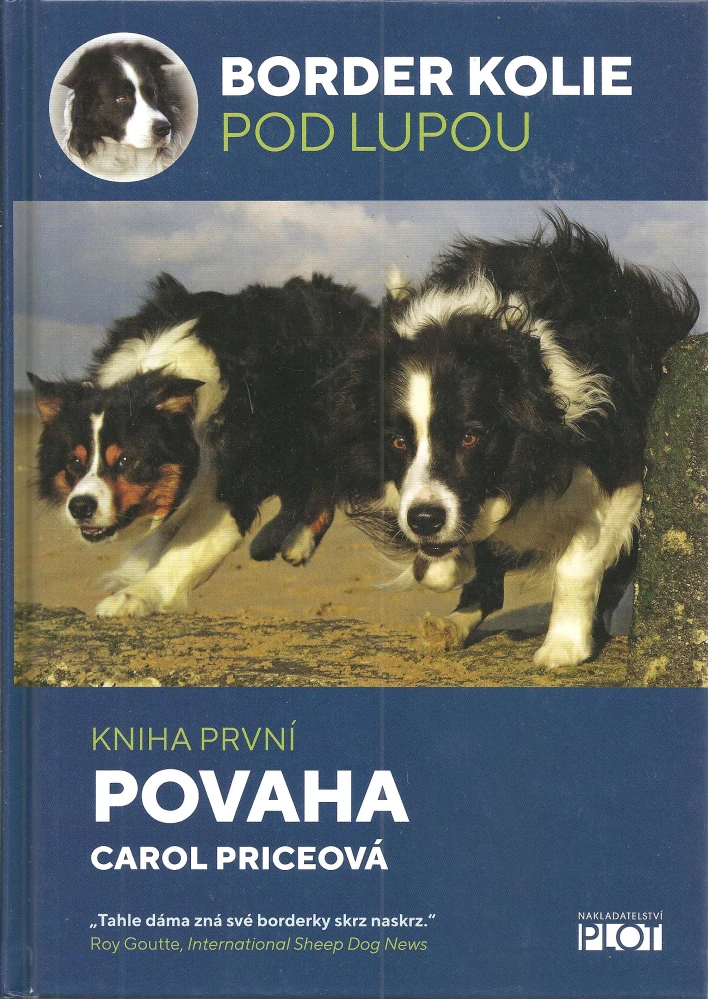 Border kolie pod lupou 1.- Povaha