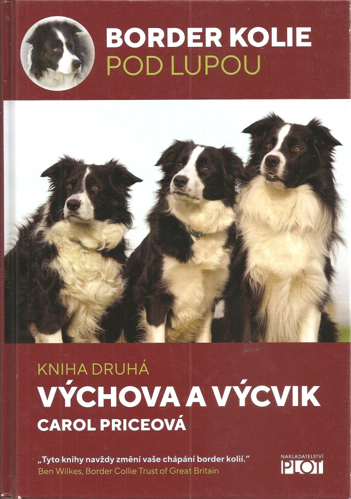 Border kolie pod lupou 2. - Výchova a výcvik