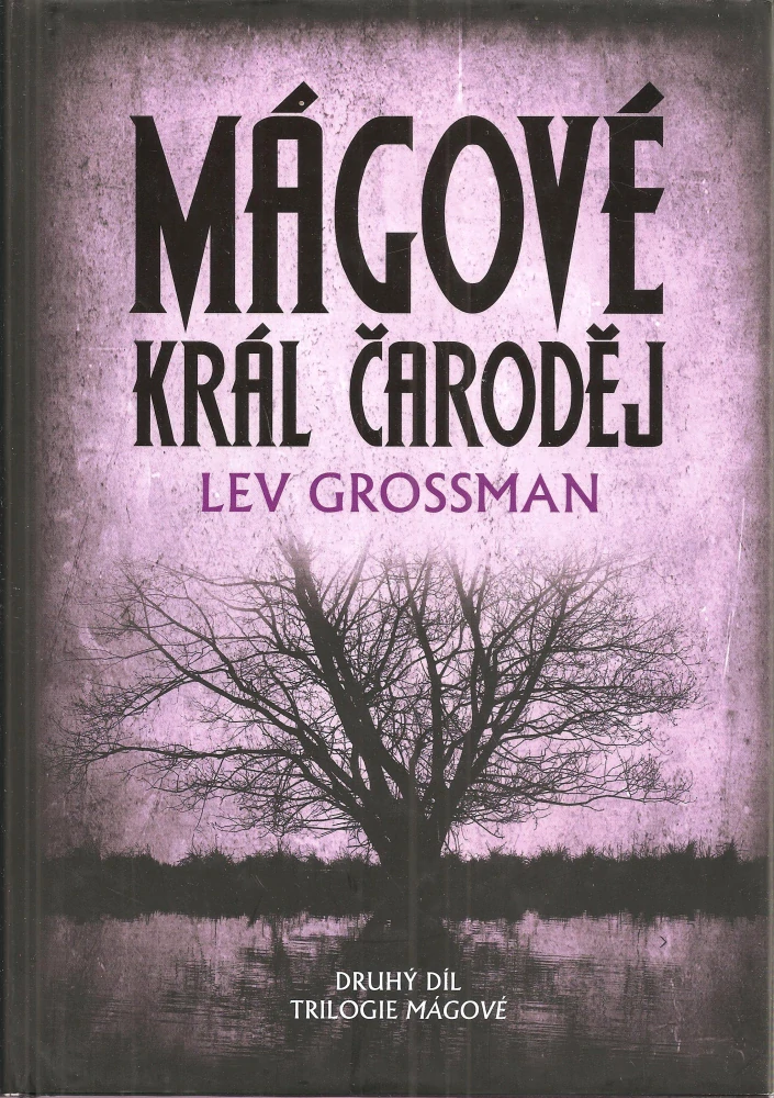 Mágové: král čaroděj