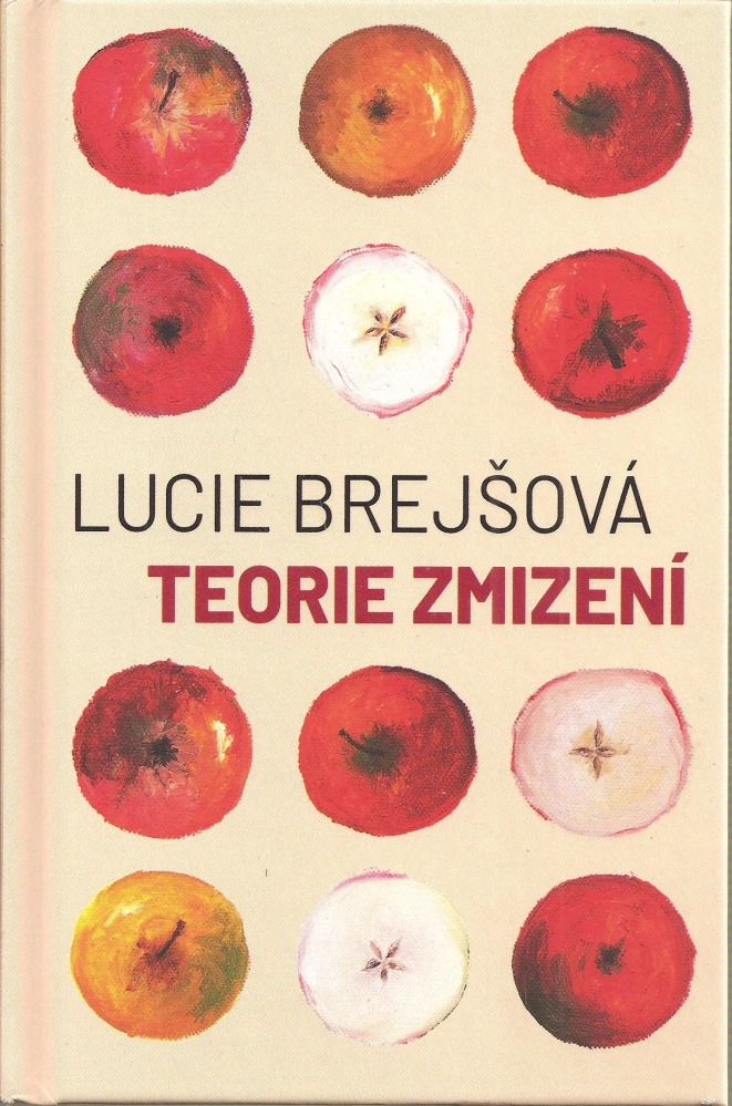Teorie zmizení