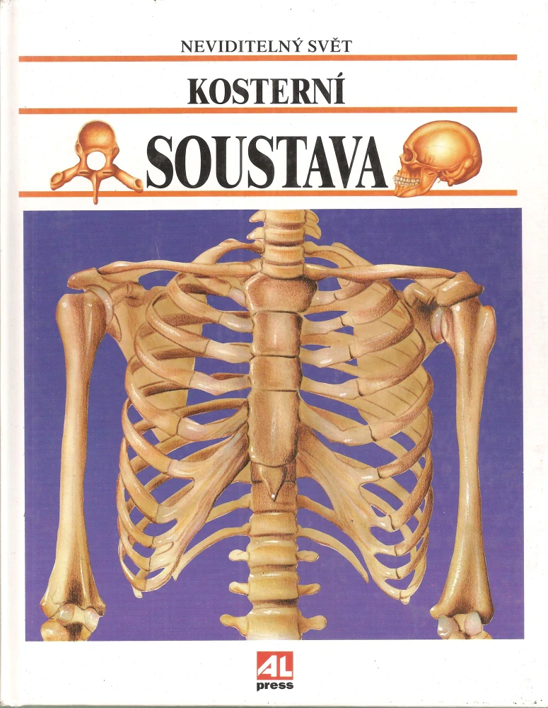 Kosterní soustava