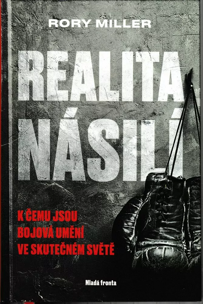 Realita násilí