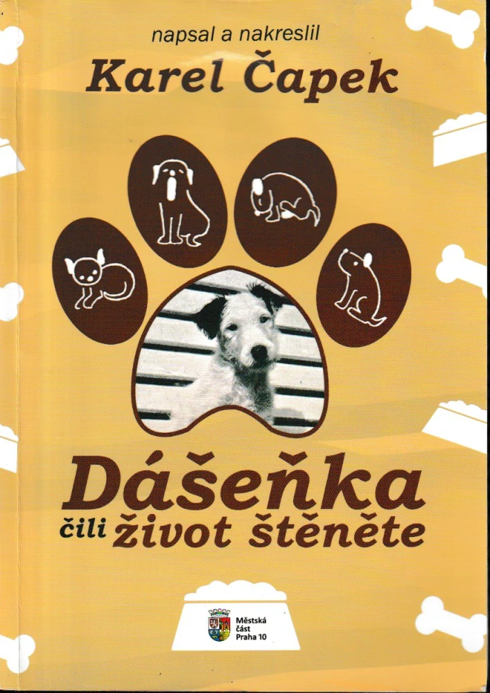 Dášeňka
