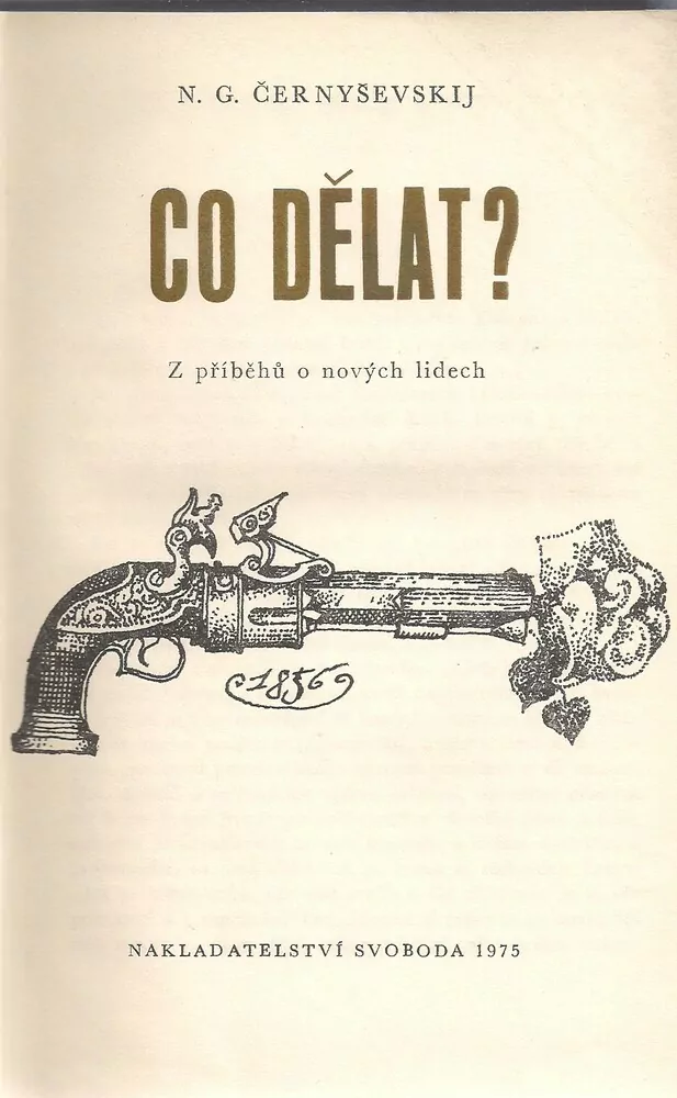 Co dělat?