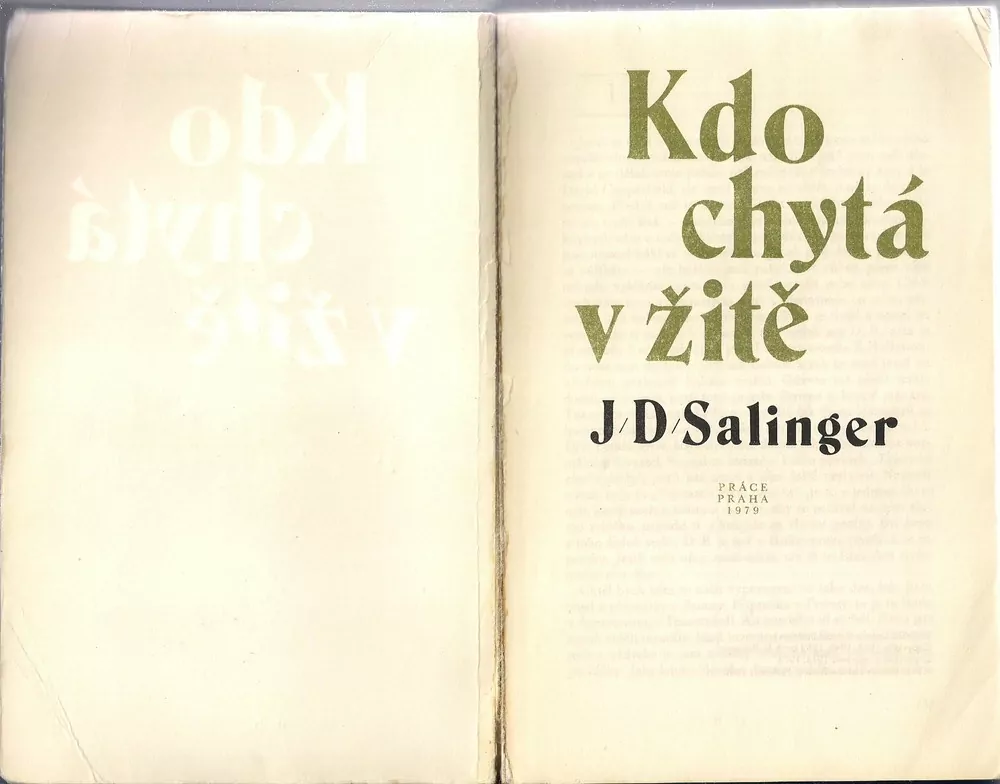 Kdo chytá v žitě