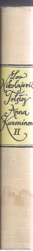Anna Kareninová II