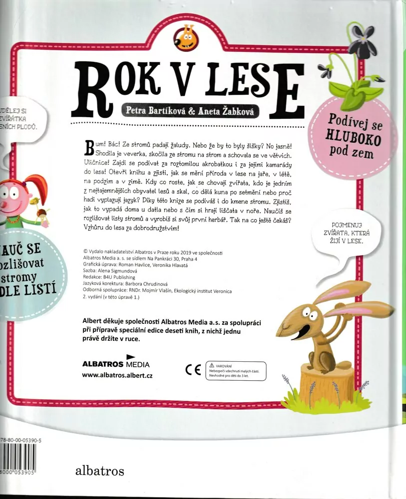 Rok v lese