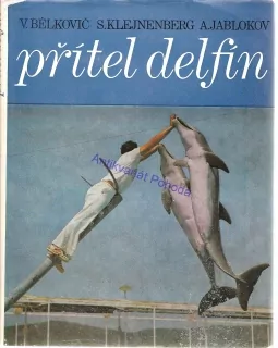 Přítel delfín