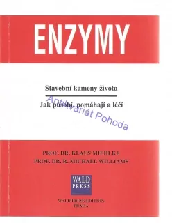 Enzymy