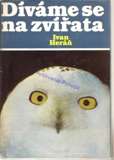 Díváme se na zvířata