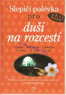 Slepičí polévka pro duši na rozcestí