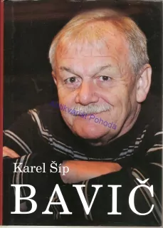 Bavič