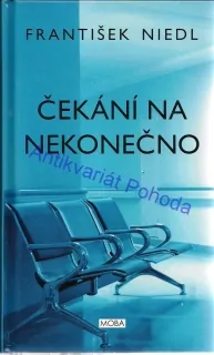 Čekání na nekonečno