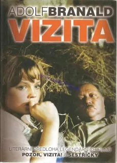 Vizita