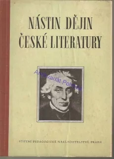 Nástin dějin české literatury