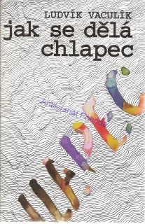 Jak se dělá chlapec