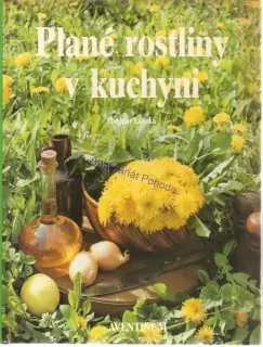 Plané rostliny v kuchyni