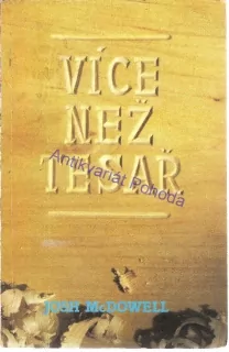 Více než tesař