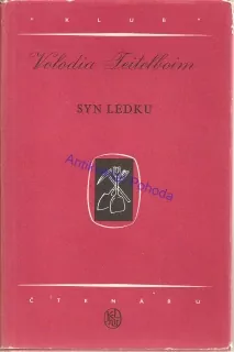 Syn ledku