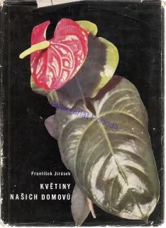 Květiny našich domovů