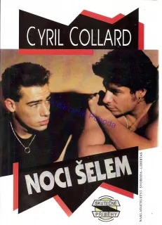 Noci šelem