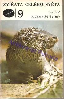 Kunovité šelmy