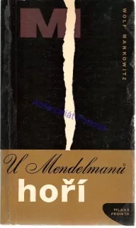 U Mendelmanů hoří