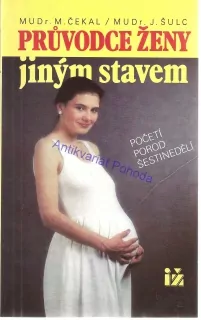 Průvodce ženy jiným stavem