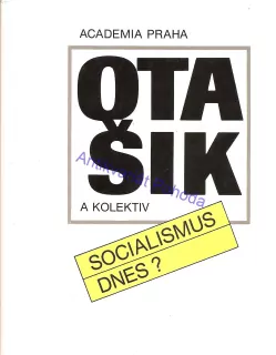 Socialismus dnes?