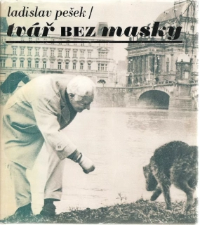 Tvář bez masky